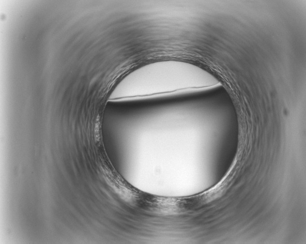 X0000087750144200705071001