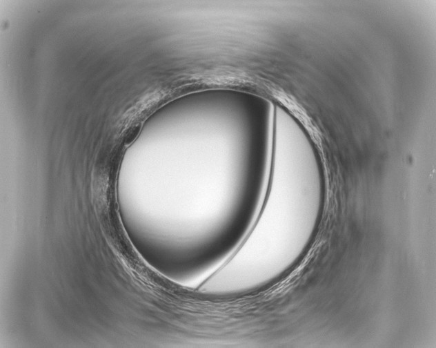 X0000087750201200705071000