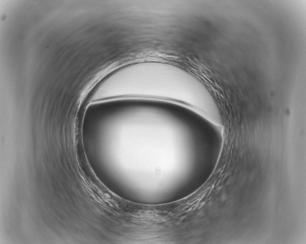 X0000087750244200705070958