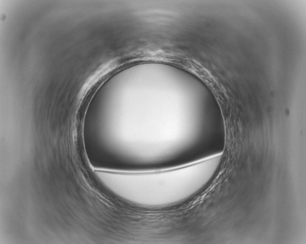 X0000087750344200705070957