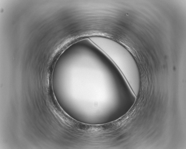 X0000087750350200705070957