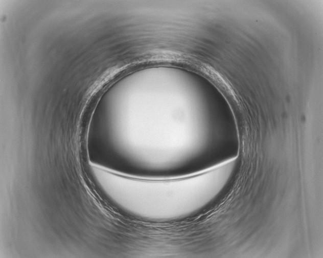 X0000087750436200705070955