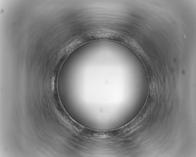 X0000087750454200705070955