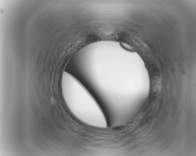 X0000087750515200705070955