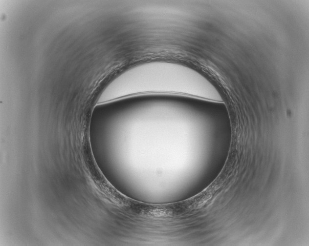 X0000087750546200705070954