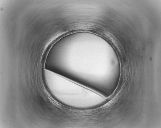 X0000087750779200705070950
