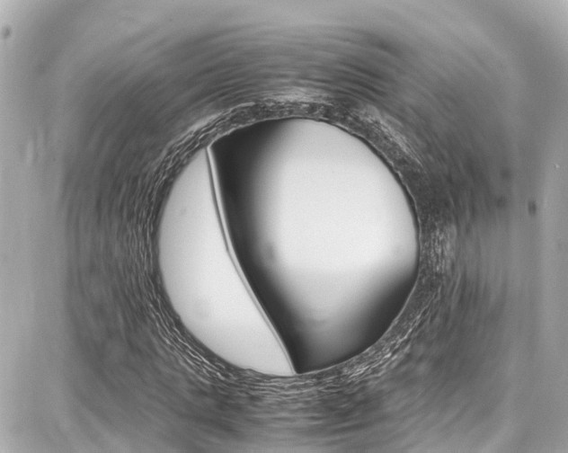 X0000087750821200705070949