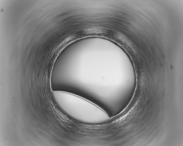 X0000087750825200705070949
