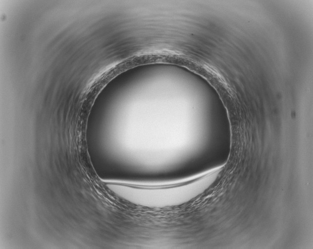 X0000087750872200705070949
