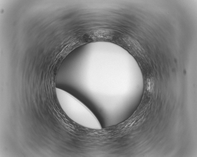 X0000087750915200705070947