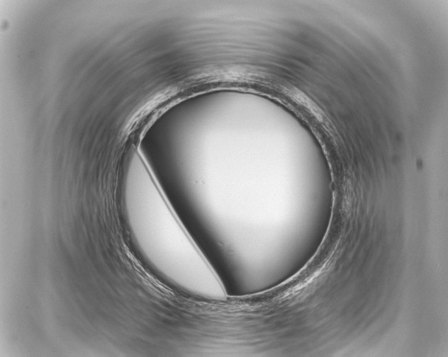 X0000087750922200705070947