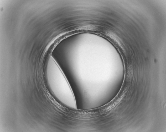 X0000087750923200705070947