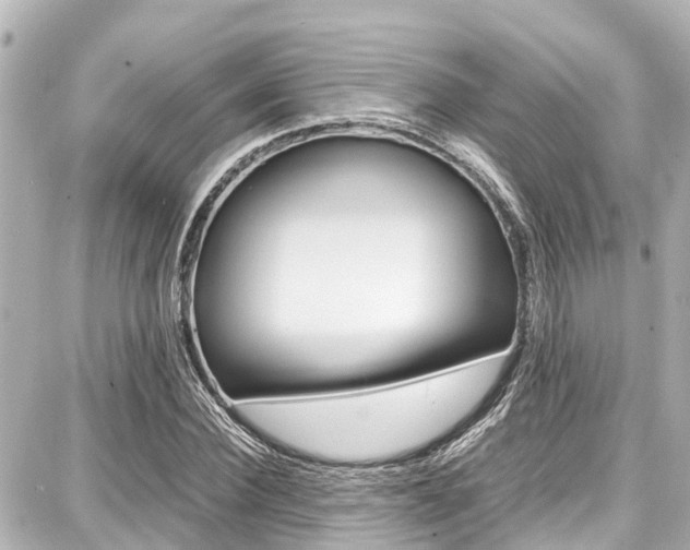 X0000087750924200705070947