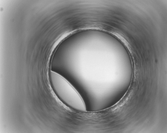 X0000087750949200705070948