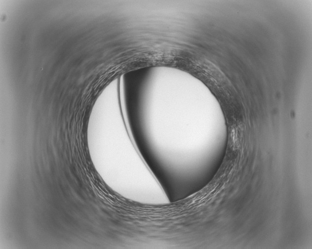 X0000087750963200705070947
