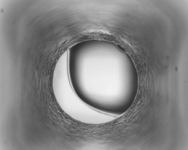 X0000087750965200705070947