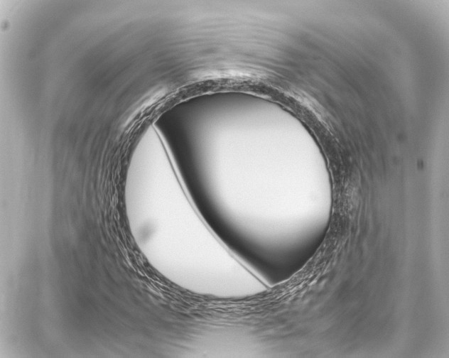 X0000087750967200705070947