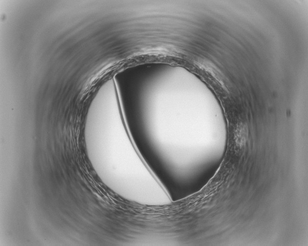 X0000087750968200705070947