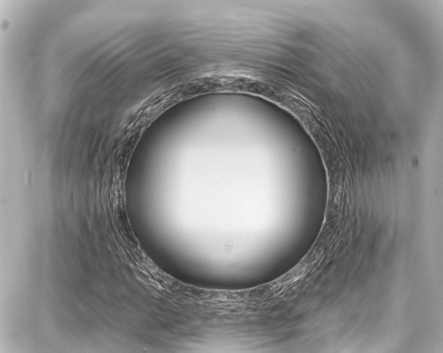 X0000087751014200705070946