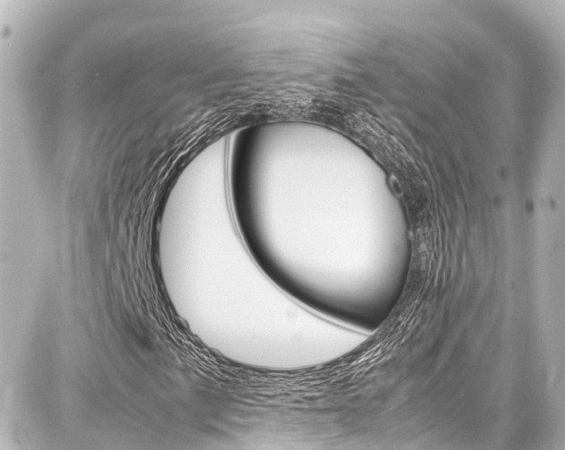 X0000087751057200705070946