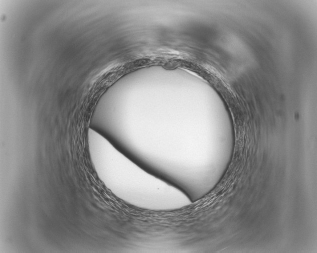 X0000087751063200705070946