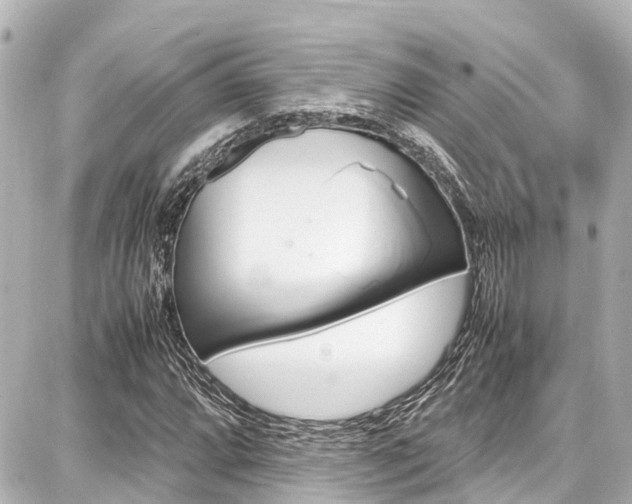 X0000087751064200705070946