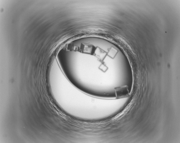 X0000087751065200705070946
