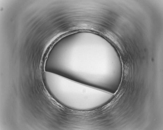 X0000087751068200705070946