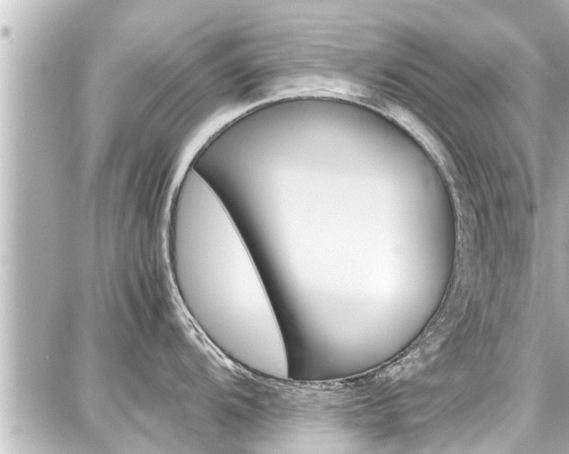 X0000087751104200705070945