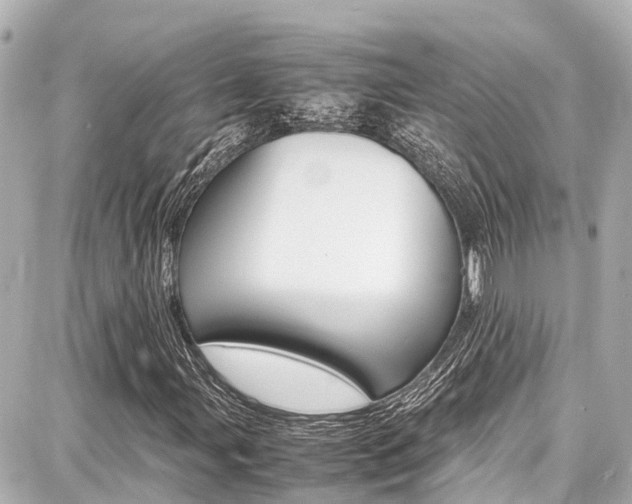 X0000087751107200705070944