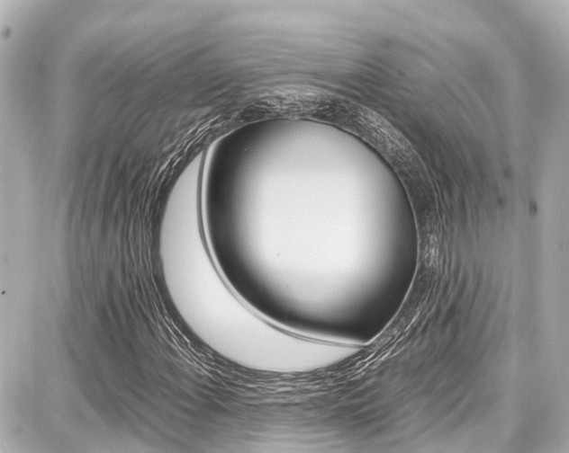 X0000087751108200705070944