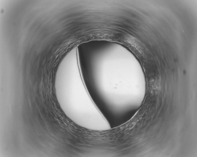 X0000087751111200705070944