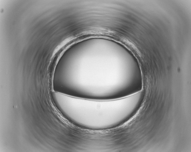 X0000087751114200705070944