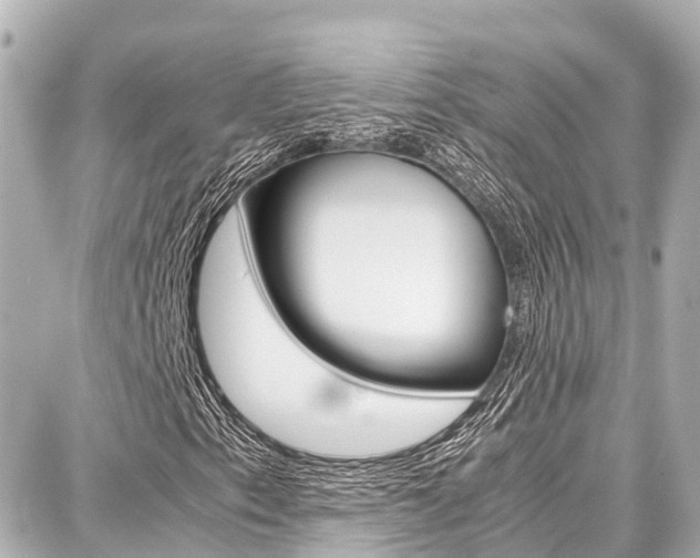 X0000087751153200705070944
