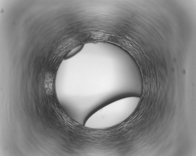 X0000087751154200705070944