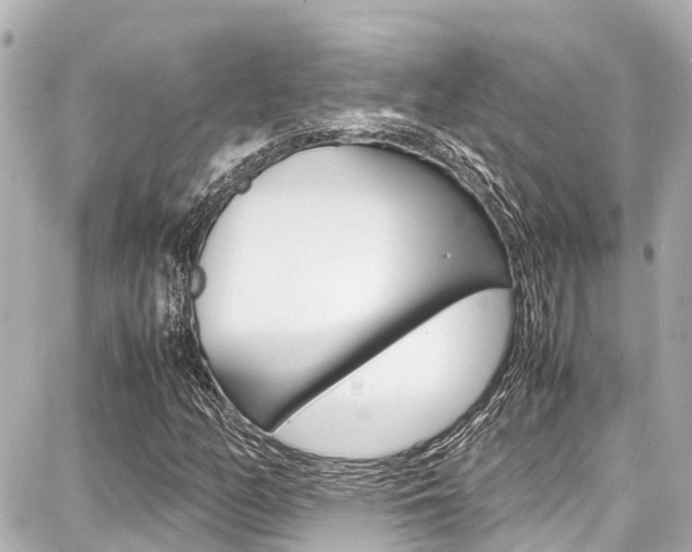 X0000087751158200705070944