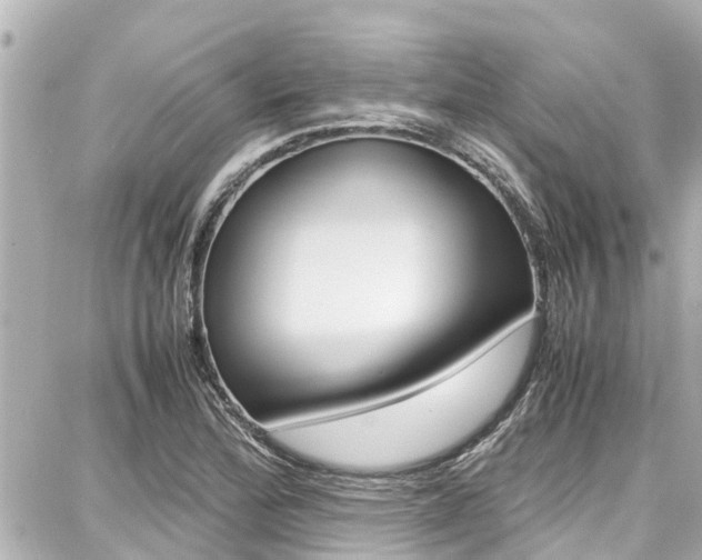X0000087751172200705070944