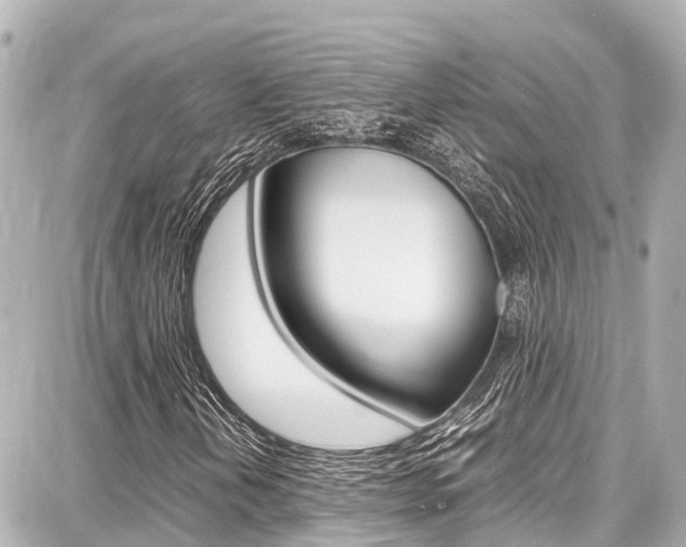 X0000087751202200705070943
