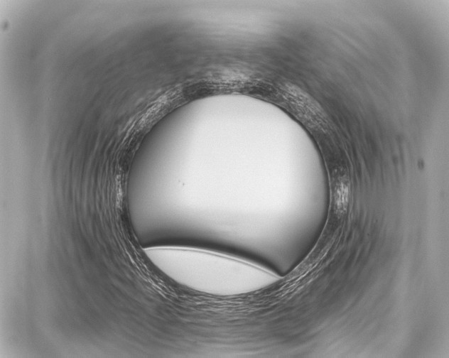 X0000087751204200705070943