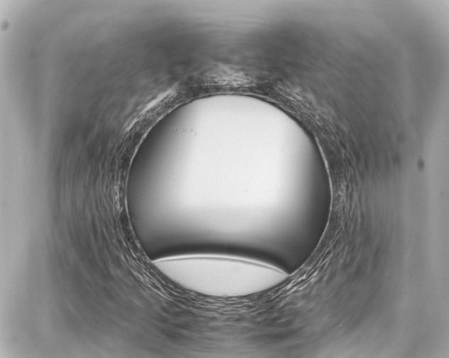 X0000087751205200705070943