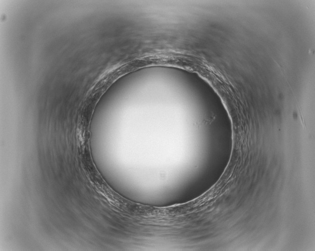 X0000087751206200705070943