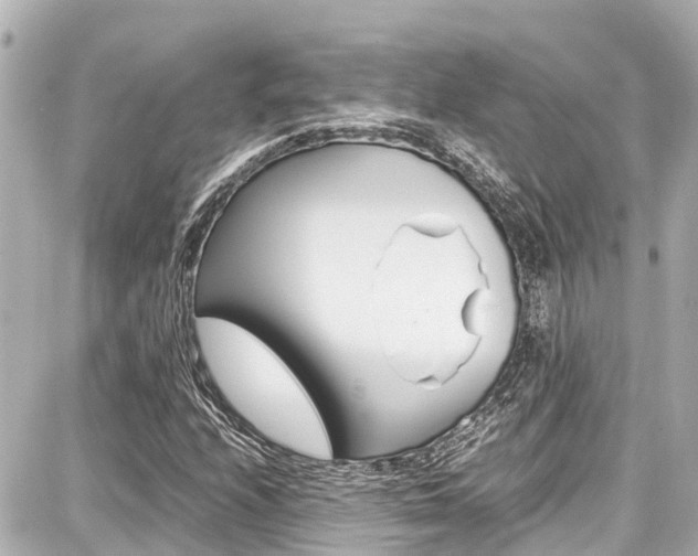 X0000087751208200705070943