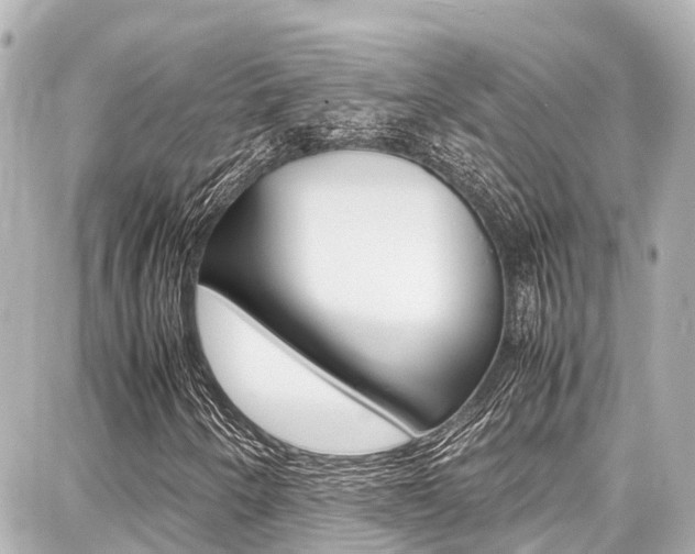 X0000087751250200705070943