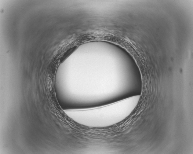 X0000087751253200705070943