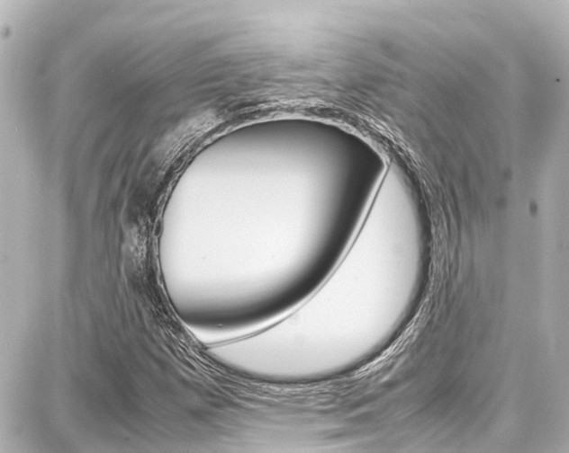 X0000087751257200705070942