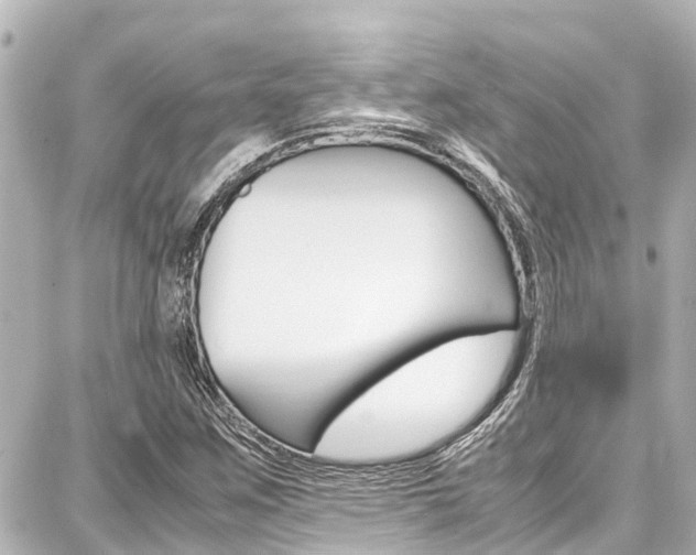 X0000087751259200705070942