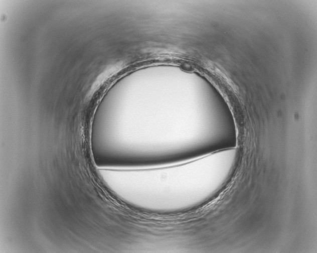 X0000087751261200705070942