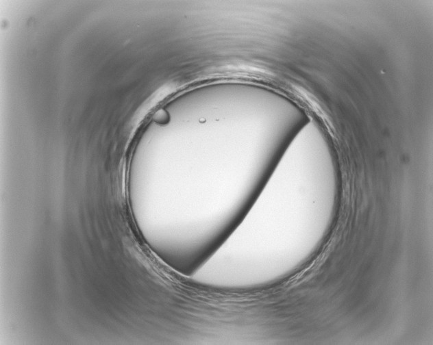 X0000087751275200705070942