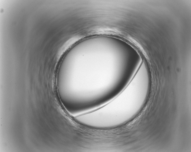 X0000087751277200705070942
