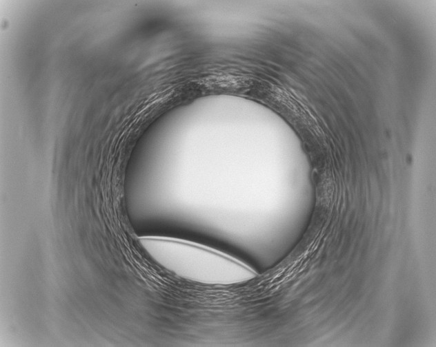 X0000087751297200705070941